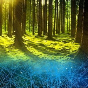 Zukunftskonferenz Biologische Transformation