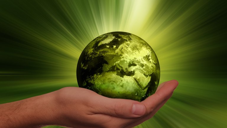 grüne welt