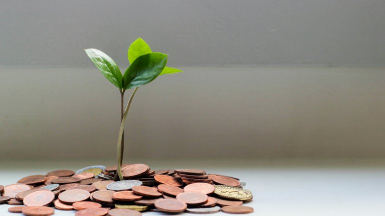 Geld & Planze 