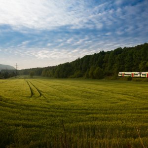 Industrie, Grün, Mobilität